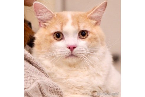 大吉くん1枚目